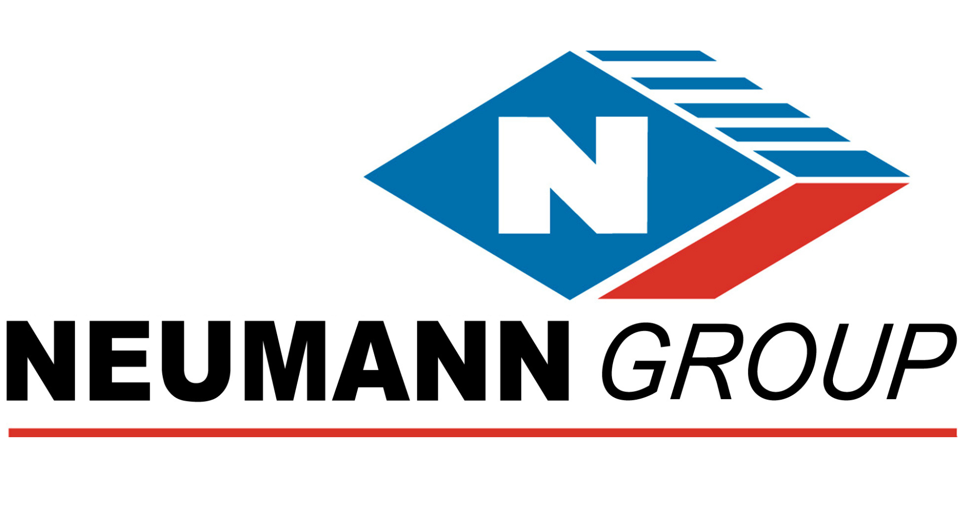 Neumann Group Logo